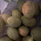 لوز