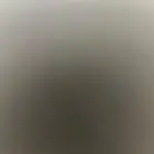 يوجد قط مفقود عندي حصلته ف شارع