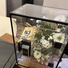 أغراض محل ورد جديد للبيع