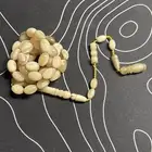 سبحة قرن ضان