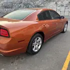 تشارجر20116 سرندل