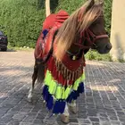 إيجار سيسي و بوني و خيل و جمل و حنطور