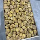 تمور القصيم تصفيه شاملة اقل سعر