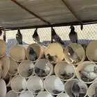 حمام سلفر للبيع