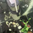 باور هد لحوض السمك