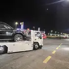 سطحه المظيلف القنفذه المخواة