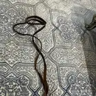 مسلتزمات خيل