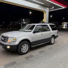 فورد إكس بدشن 2013