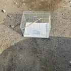 قفص مقاس 600 نظيف شرط