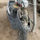 دبابين بطة