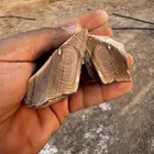 حجر لا اعلم مانوعه