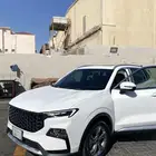 تيريتوري 2024 نص فل