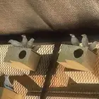 طيور جاوا كريمي للبيع منتجة الاغلب منها