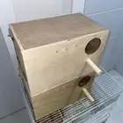 بياضة كروان