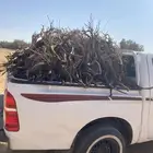 رمث غمارتين