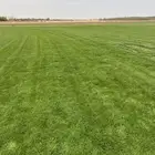 ثيل القصمان