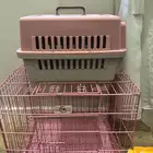 اغراض ومستلزمات كلاب