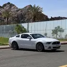 موستنج 2014 ممشى قليل