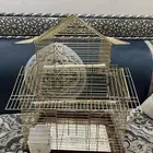 اقفاص عصفير