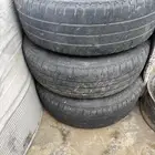 جنوط للبيع