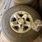 جنوط ربع عريض