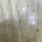 بدرون للجار