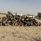 حطب سمر يوجد توصيل