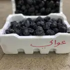 عجوة عوالي فاخر