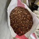 لوز بجلي