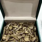 عود موروكي اصقون