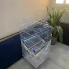 قفص مكاو كبير