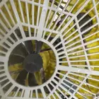 فقاسات للبيع