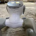 روبوت