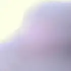 ابغا قط ذكر لتزاوج  ..