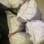 خبز ناشف مدقوق