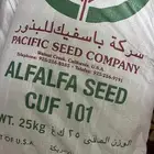 للبيع برسيم باسفك امريكي