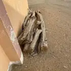 خشب للبيع
