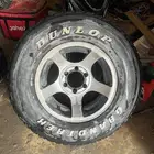 جنوط اخطبوط