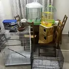 مستتلزمات طيور 250 ريال