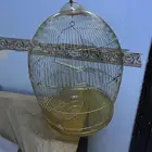 قفص مقاس كبير