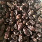 تمر خصري فلة