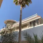 نخل واشنطني