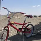سيكل سليم ونضيف