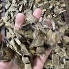 عود صيني كينامي طبيعي اسعاره جمله وقطاعي مناسبه