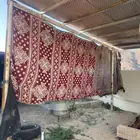 بيت شعر. مقاس 5-7خيمه مع راواقات فقط لاغير.