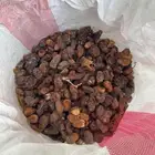 تمر نفيع البيع