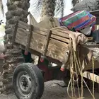 جاري حساوي قديم