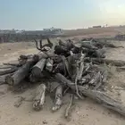اثل