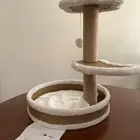 خداشة للقطط جديدة