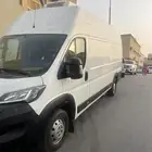 بوكسر بيجو 2021